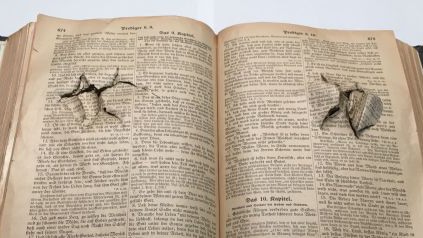 eine durchschossene Bibel