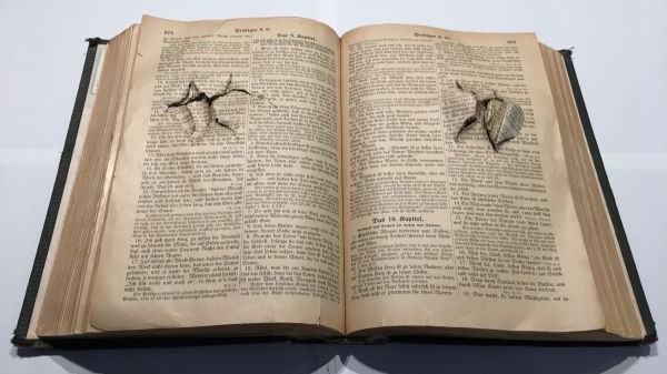 Bibel mit Einschussloch